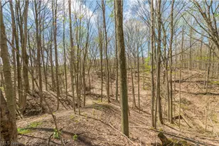 5226 State Route 60, Wakeman, OH 44889 - Photo 42