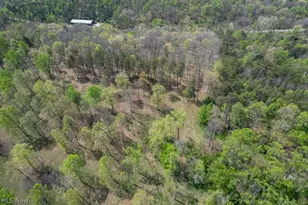 146 Graham Pl, Davisville, WV 26142 - Photo 44