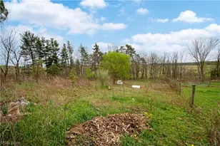14072 Baddow Pass Rd, Brinkhaven, OH 44611 - Photo 48