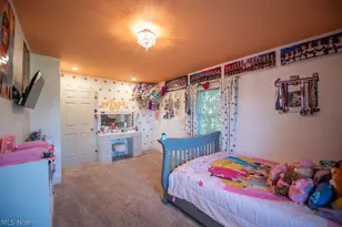1150 E Beech St, Alliance, OH 44601 - Photo 40
