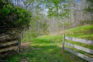 237 Buck Run, Pennsboro, WV 26415 - Photo 42