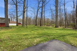 10121 Springfield Rd, Poland, OH 44514 - Photo 40