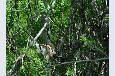 68250 Wrixon Road, Bridgeport, OH 43912 - Photo 26