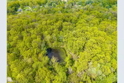 6066 Case Road, North Ridgeville, OH 44039 - Photo 12