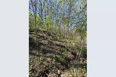 397 S Elliott Road, Stockport, OH 43787 - Photo 26