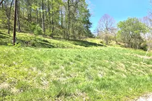 2361 Carpenter Run Rd, Waverly, WV 26184 - Photo 34