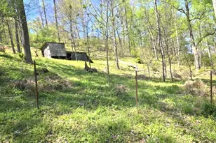 2361 Carpenter Run Rd, Waverly, WV 26184 - Photo 32