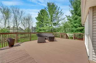 141 McCleary Ct, Sagamore Hills, OH 44067 - Photo 34