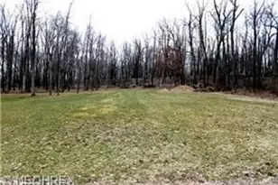Prairie College St, Canton, OH 44706 - Photo 1