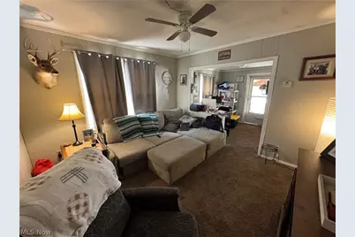 423 7th Street, Fairport Harbor, OH 44077 - Photo 28