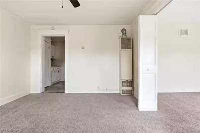 689 Midland Avenue, Loveland, OH 44110 - Photo 28