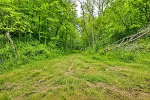 3368 Lowe Ln, McConnelsville, OH 43756 - Photo 36
