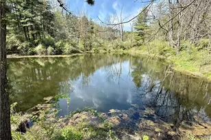4101 Peace Rd SE, Carrollton, OH 44615 - Photo 14
