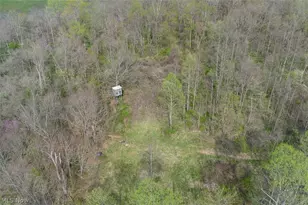 81910 Ourant Rd, Cadiz, OH 43907 - Photo 8