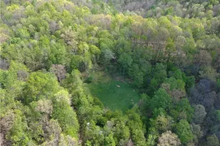 1000 Coon Fork Rd, Arnoldsburg, WV 25234 - Photo 44