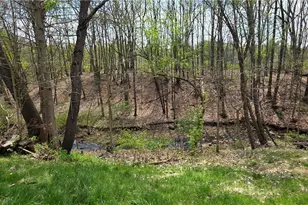 201 Water St, Wadsworth, OH 44281 - Photo 4