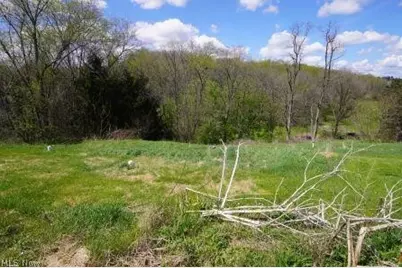 84 Powerhouse Road, Dillonvale, OH 43917 - Photo 34