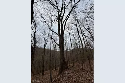 Hanson Road, Beverly, OH 45715 - Photo 8