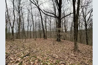 Hanson Road, Beverly, OH 45715 - Photo 6