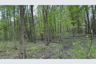 V/L Donley Road, Middlefield, OH 44062 - Photo 26