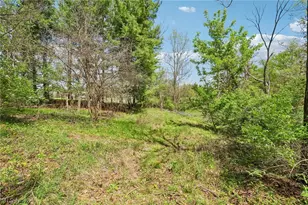 7802 Avon Lake Rd, Lodi, OH 44254 - Photo 42
