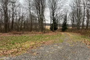 31293 Speidel Rd, Hanoverton, OH 44423 - Photo 2