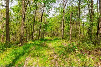 6268 Kings Ridge Road, Newcomerstown, OH 43832 - Photo 24