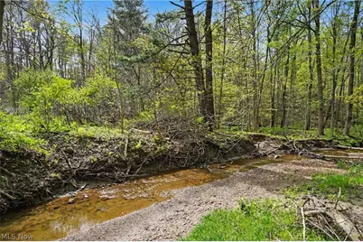 12376 Heath Road, Chesterland, OH 44026 - Photo 46