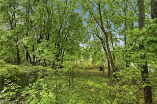 1201 East Ave, Akron, OH 44307 - Photo 26