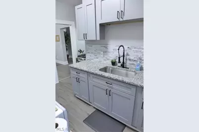 1453 W 107th Street, Loveland, OH 44102 - Photo 10