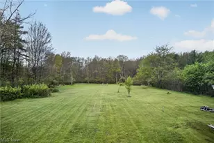 10650 Chillicothe Rd, Kirtland, OH 44094 - Photo 46