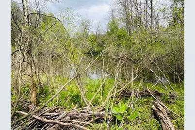 Auburn Road, Newbury, OH 44065 - Photo 20