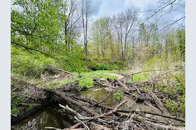 Auburn Road, Newbury, OH 44065 - Photo 22