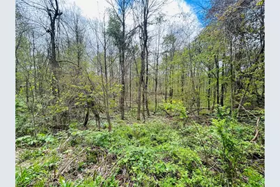 Auburn Road, Newbury, OH 44065 - Photo 14