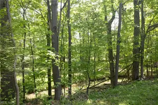 19533 Idlewood Trail, Strongsville, OH 44149 - Photo 46
