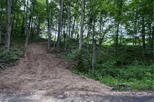 Walker Hill Rd, Stockport, OH 43787 - Photo 1