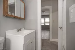 12008 Craven Ave, Loveland, OH 44105 - Photo 12