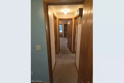 908 Cornell Street, Youngstown, OH 44502 - Photo 4