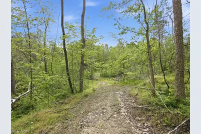 69 Acres Newlon Road, Malta, OH 43758 - Photo 14