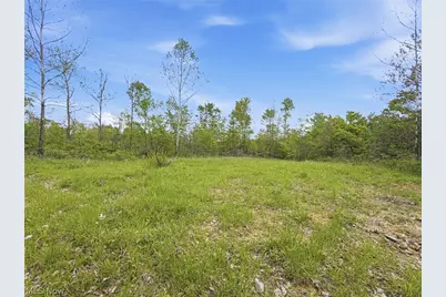 69 Acres Newlon Road, Malta, OH 43758 - Photo 18