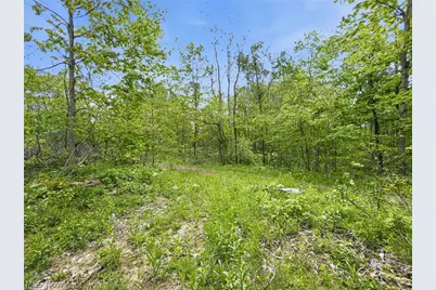 69 Acres Newlon Road, Malta, OH 43758 - Photo 16