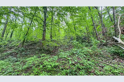 95 Acres Newlon Road, Malta, OH 43758 - Photo 14