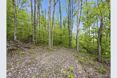 95 Acres Newlon Road, Malta, OH 43758 - Photo 12