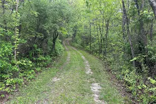 38975 Ogles Ridge Rd, Dexter City, OH 45727 - Photo 38
