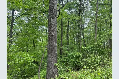 38975 Ogles Ridge Road, Dexter City, OH 45727 - Photo 32