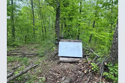 38975 Ogles Ridge Road, Dexter City, OH 45727 - Photo 28