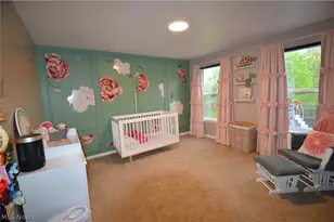 12555 Akron Canfield Rd, North Jackson, OH 44451 - Photo 18