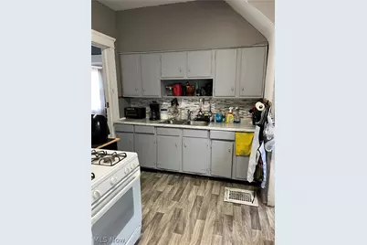 10405 Olivet Avenue, Loveland, OH 44103 - Photo 10