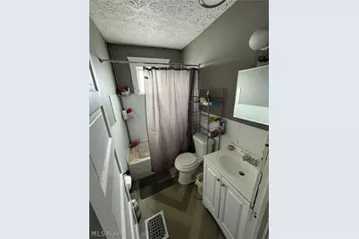 10405 Olivet Avenue, Loveland, OH 44103 - Photo 22