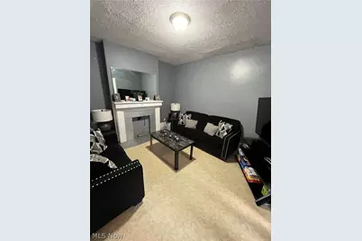 10405 Olivet Avenue, Loveland, OH 44103 - Photo 8